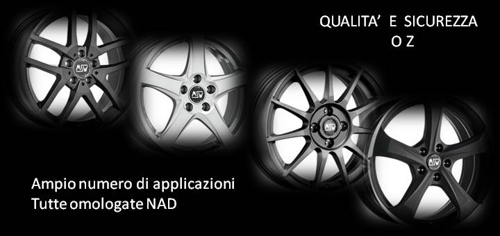 Freni e Accessori - MSW2.jpg